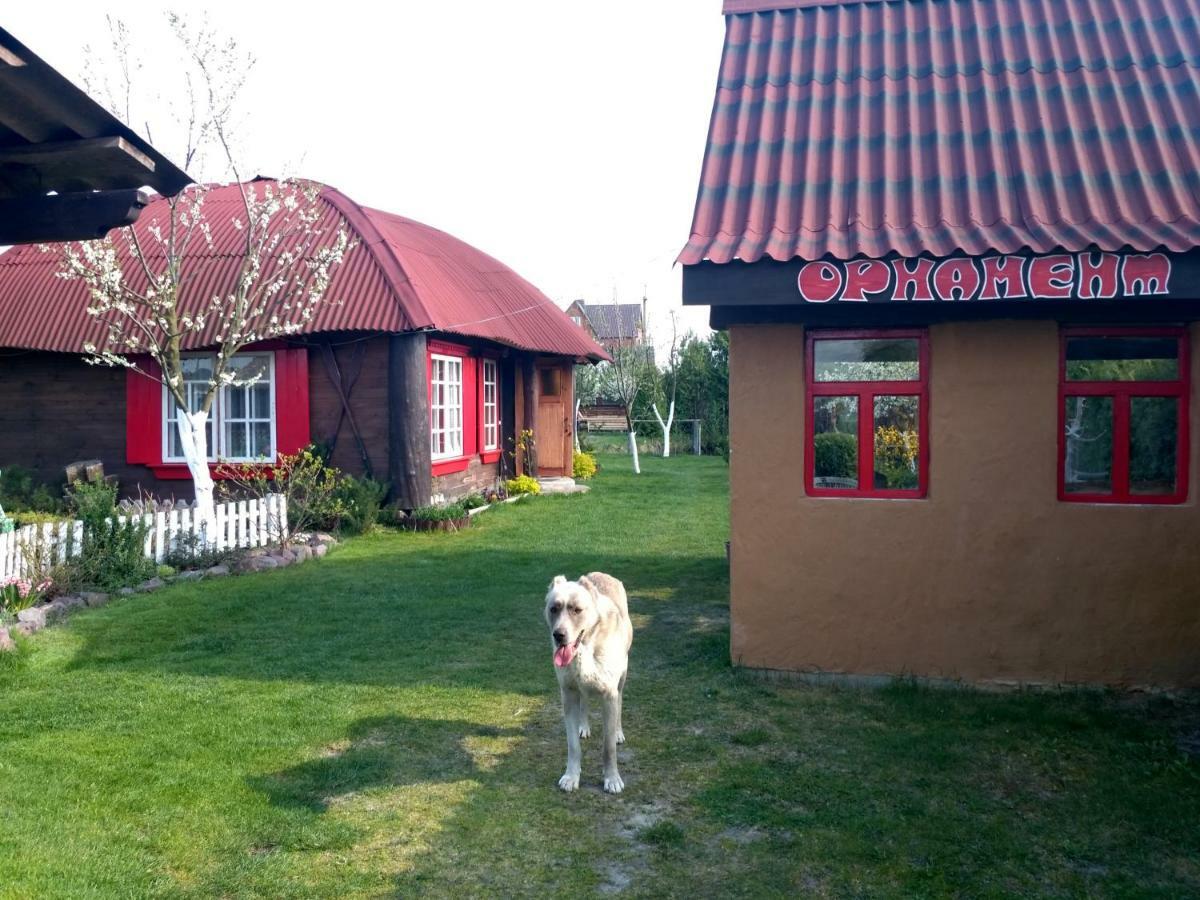 Садиба "Орнамент" Shatsk Exterior foto